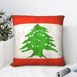 babaGOURMET Libanonkissen im chabby chic Design ca.40 x 40 cm
