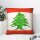 babaGOURMET Libanonkissen im chabby chic Design ca.40 x 40 cm